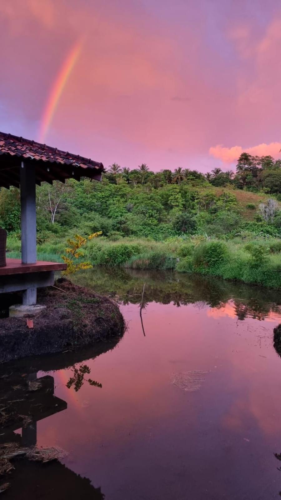 Laluna Eco Resort Beruwala Exterior foto